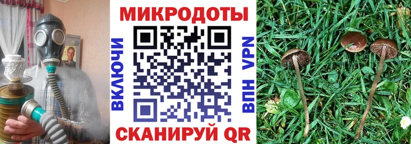 Галлюциногенные грибы MAGIC MUSHROOMS  Купить  Алапаевск 